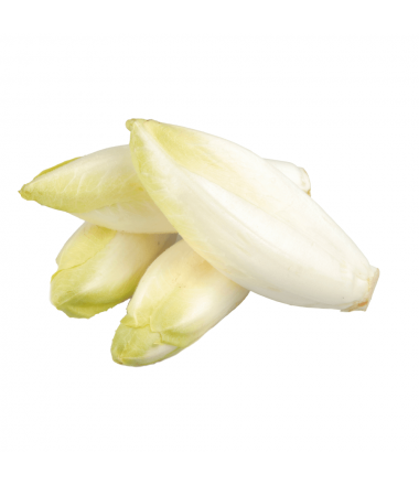 ENDIVE