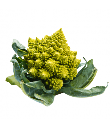 CHOU ROMANESCO