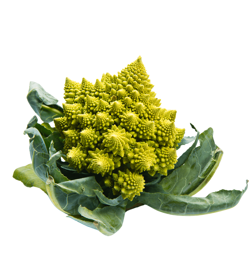 CHOU ROMANESCO