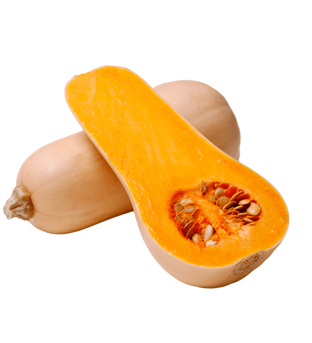 BUTTERNUT