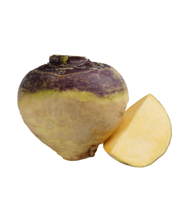 RUTABAGA