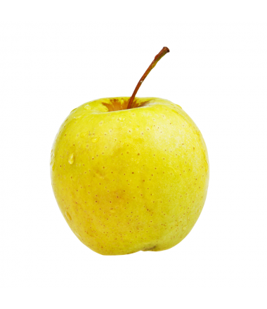 POMME GOLDEN