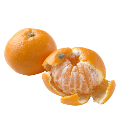 MANDARINE ORRI