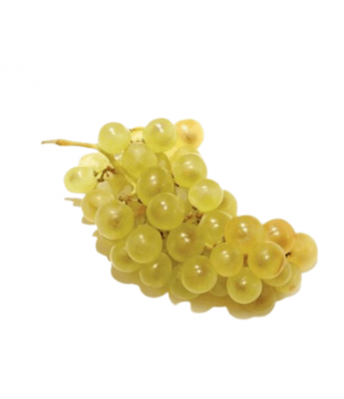 RAISIN CHASSELAS