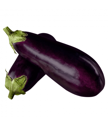 AUBERGINE NOIRE