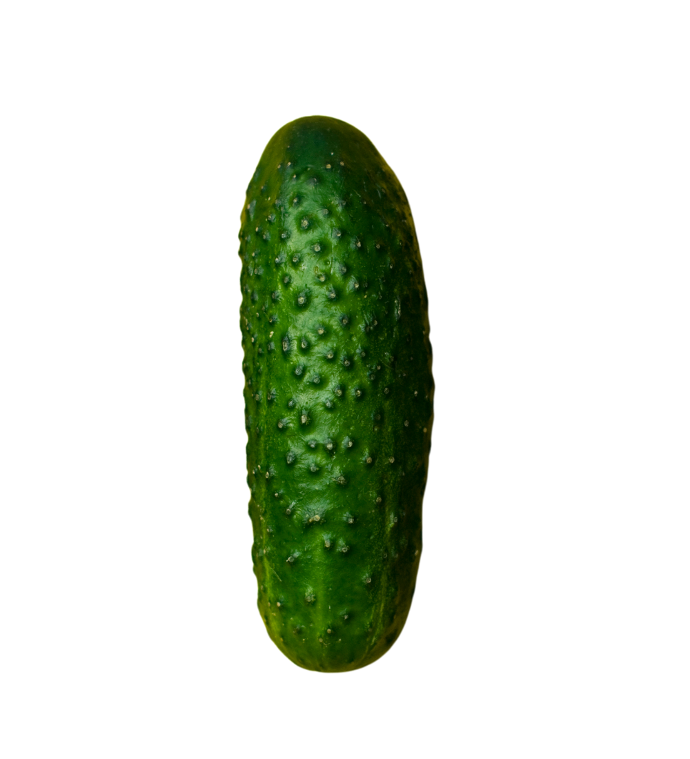 CONCOMBRE NOA