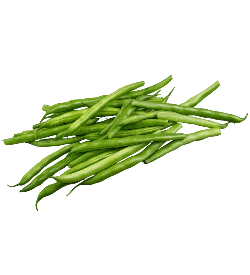 HARICOT VERT