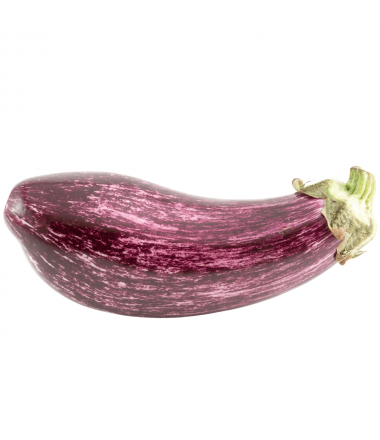 AUBERGINE GRAFFITI