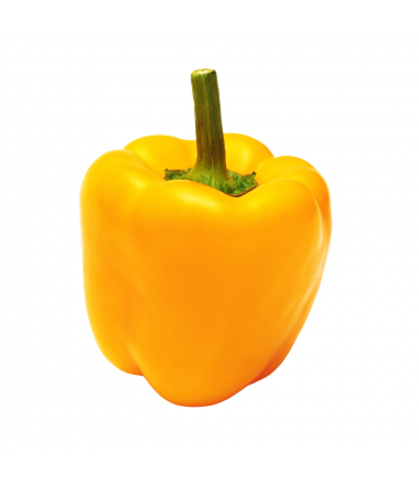 POIVRON JAUNE