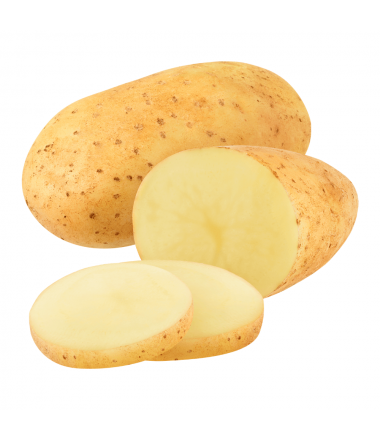POMME DE TERRE ELODIE