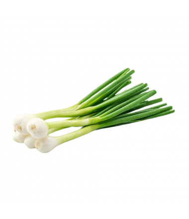 OIGNON BLANC BOTTE