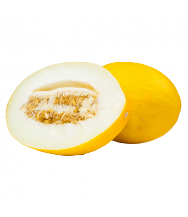 MELON JAUNE