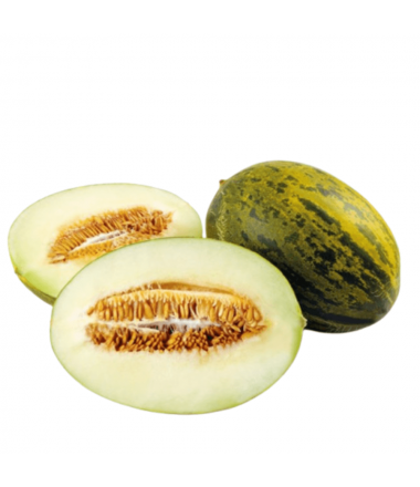 MELON VERT