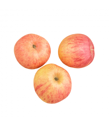 POMME FUJI