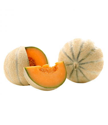 LOT DE 2 MELONS PETIT