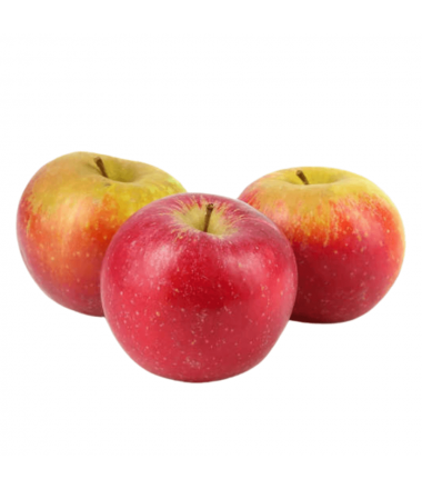 POMME DALINETTE