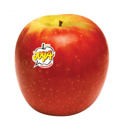 POMME JOYA