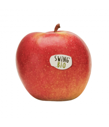POMME SWING BIO