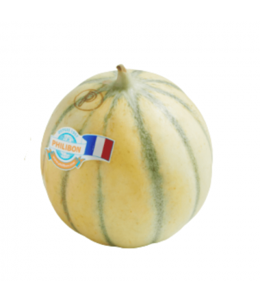MELON PHILIBON