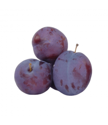 PRUNE BLEU