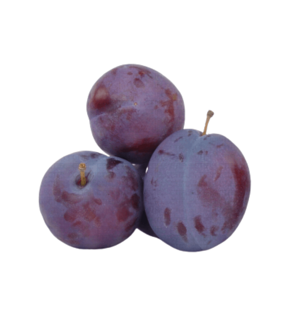 PRUNE BLEU