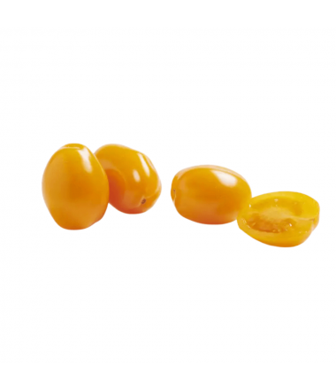 TOMATE OLIVE ORANGE