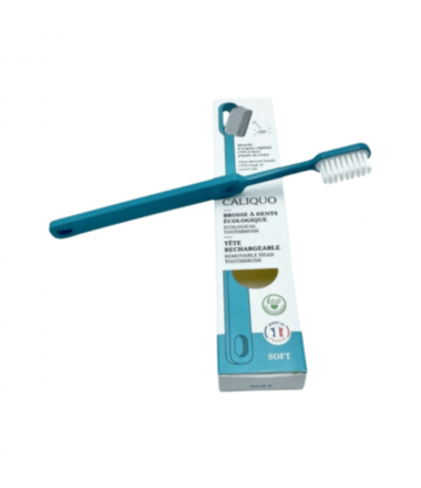 BROSSE A DENTS ADULTE...