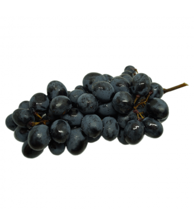 RAISIN NOIR