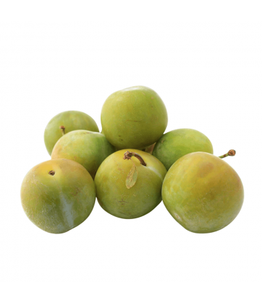 PRUNE VERTE