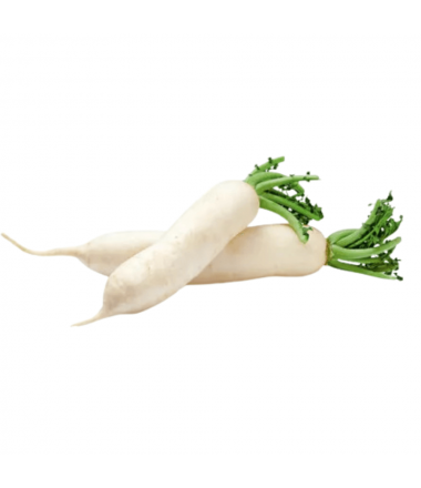 RADIS LONG BLANC