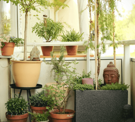 Les plantes aromatiques à cultiver sur votre balcon dijonnais !